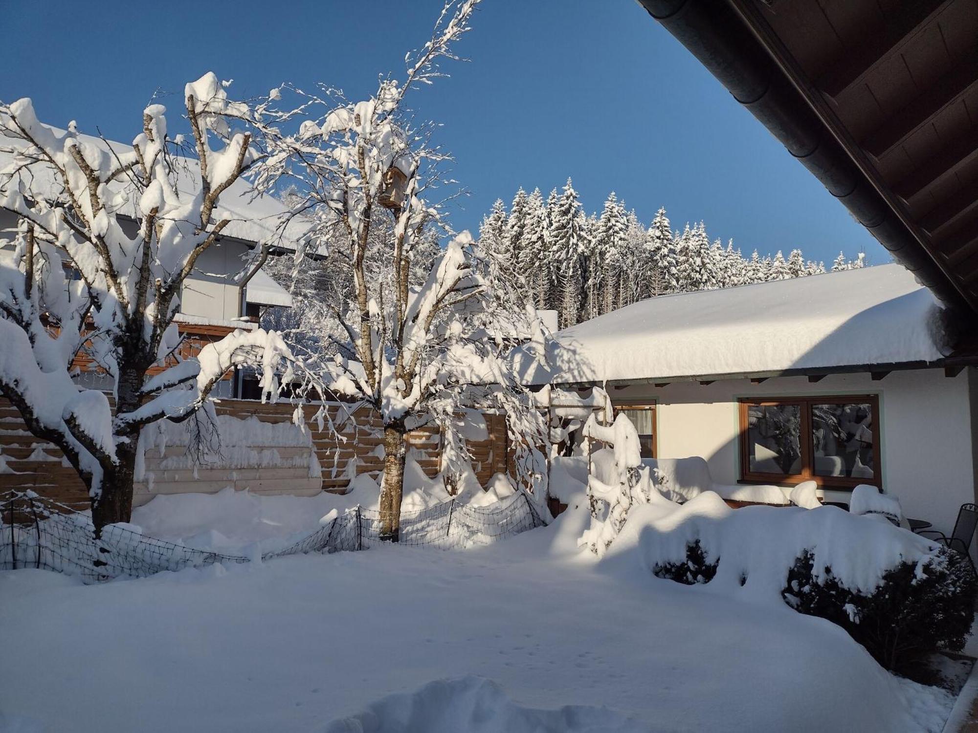 Cosy Holiday Home With Sauna In The Allg U Burggen Exteriör bild